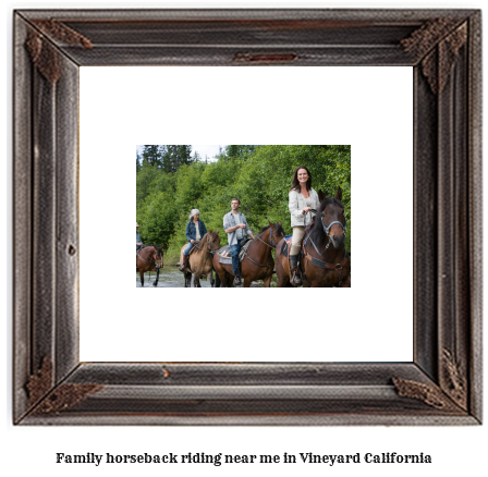 family horseback riding near me in Vineyard, California